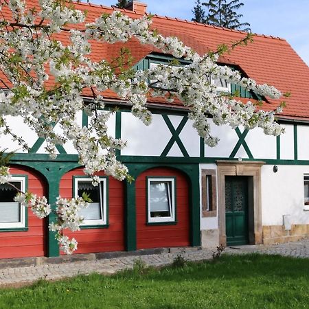 Ferienwohnung In Kurort Jonsdorf Mit Terrasse, Grill Und Garten Kültér fotó